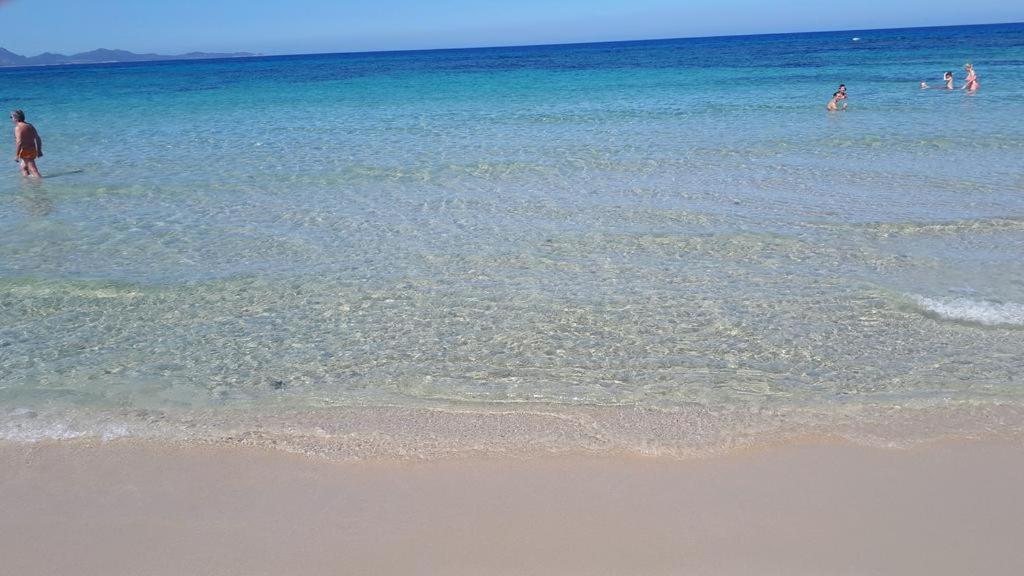 Brezza Di Mare Appartamento In Villa Con Giardino E Spiaggia ,Casa Vacanze Al Mare Куарту-Сант'Элена Экстерьер фото