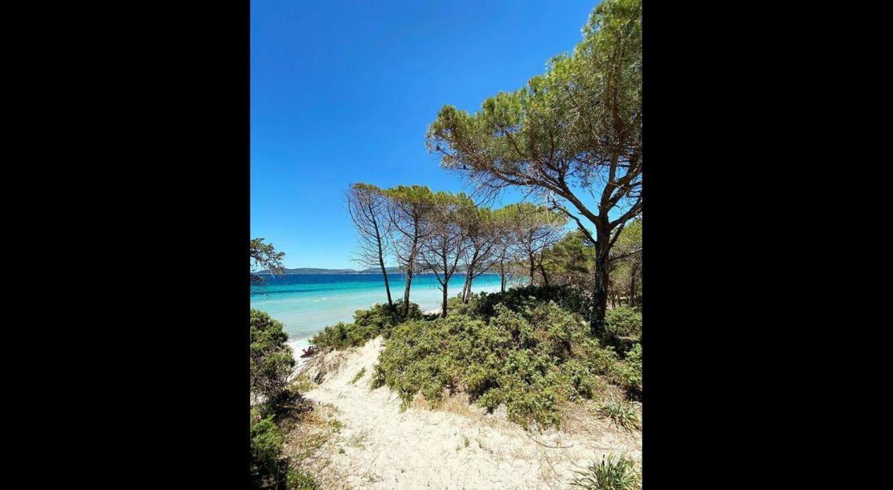 Brezza Di Mare Appartamento In Villa Con Giardino E Spiaggia ,Casa Vacanze Al Mare Куарту-Сант'Элена Экстерьер фото